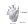 Vase In The Shape Of Human Heart, Home Decoration, l
