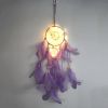 1pc Creative Dream Catcher With LED Lights;
